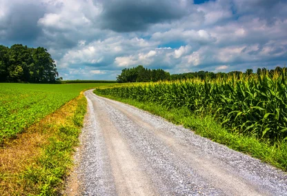 Rural road and corn fields in Carroll County, Maryland