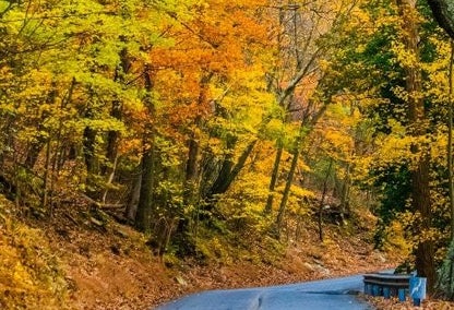 View of road typical of the Maryland area, near Washington County real estate