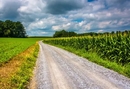 Rural road and corn fields in Carroll County, Maryland