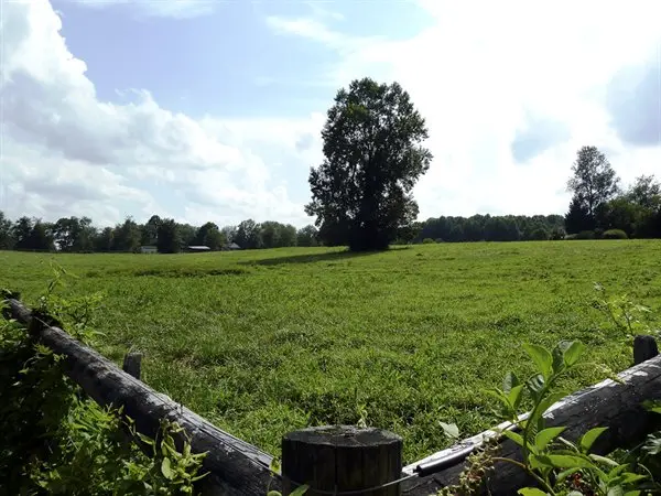 What to Know Before Buying Land in Maryland 
