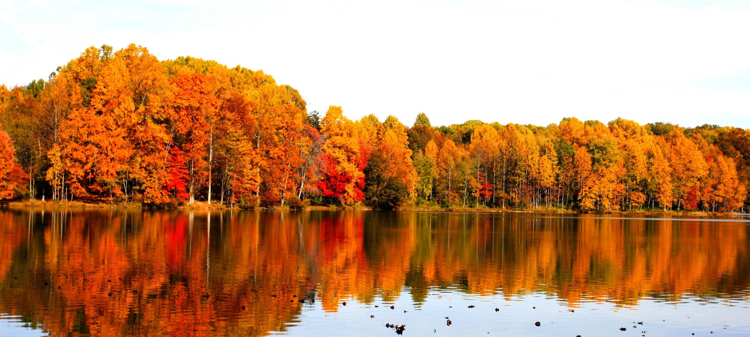 Autumn at Seneca Creek State Park in Germantown, Maryland