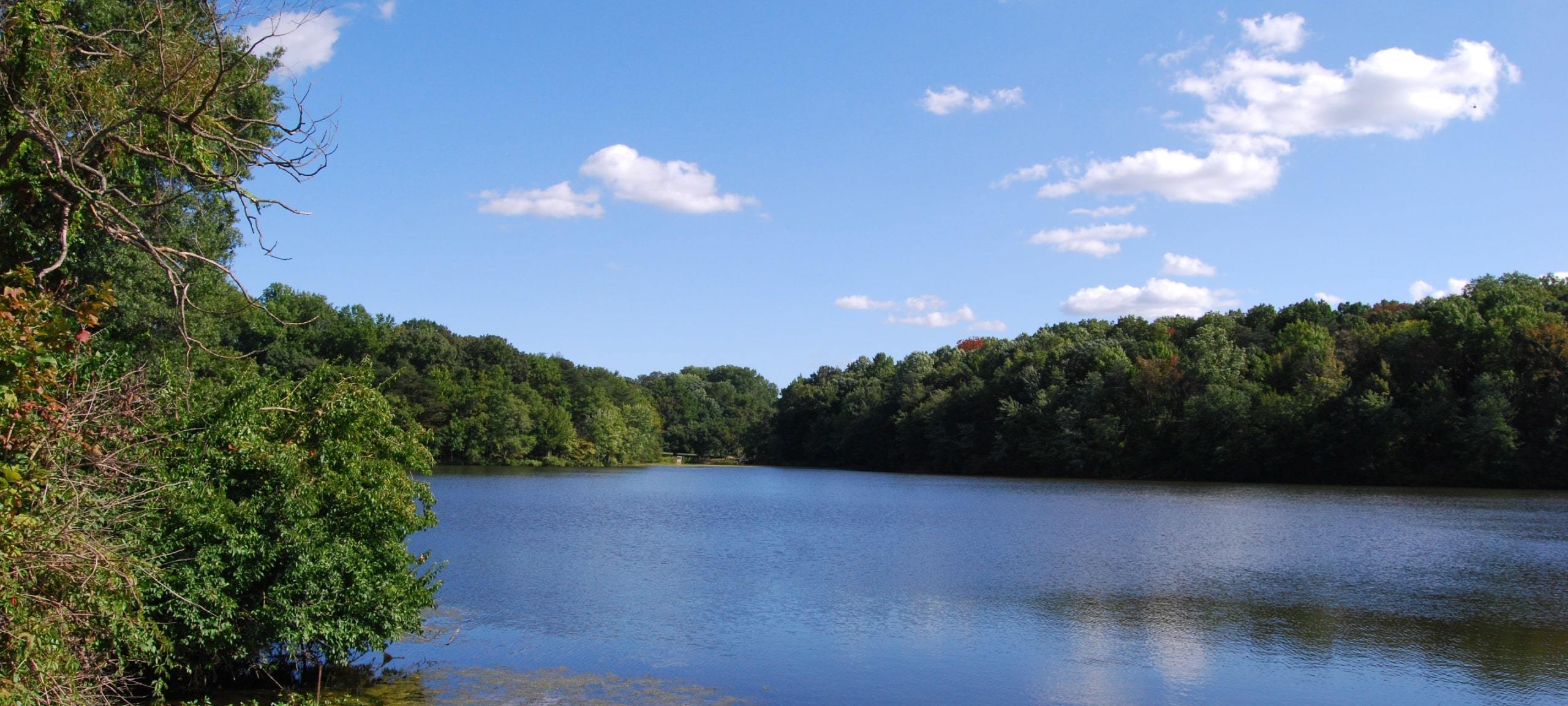 Sunny day at Greenbelt Park Lake in Greenbelt, Maryland