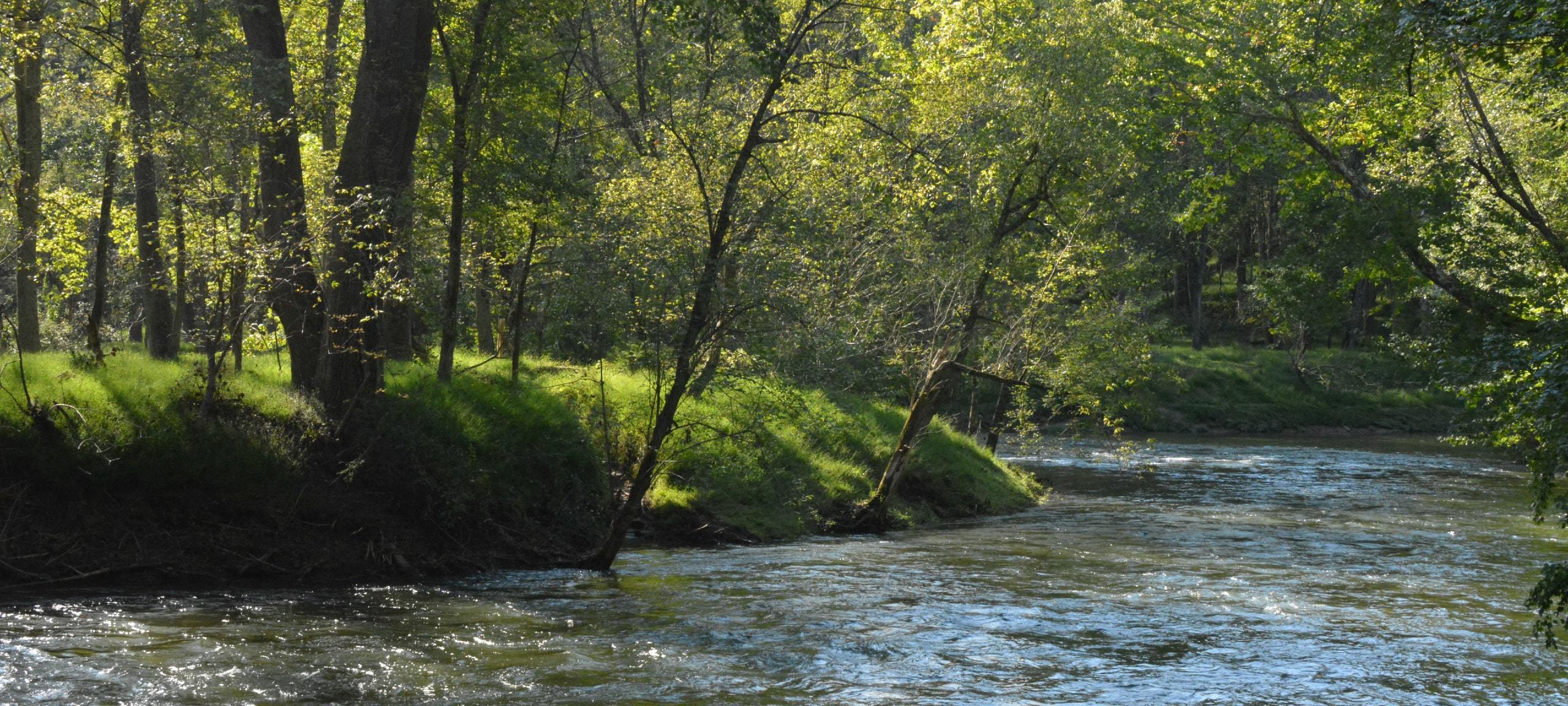 Patapsco River bank with sunny trees in Hanover, Maryland