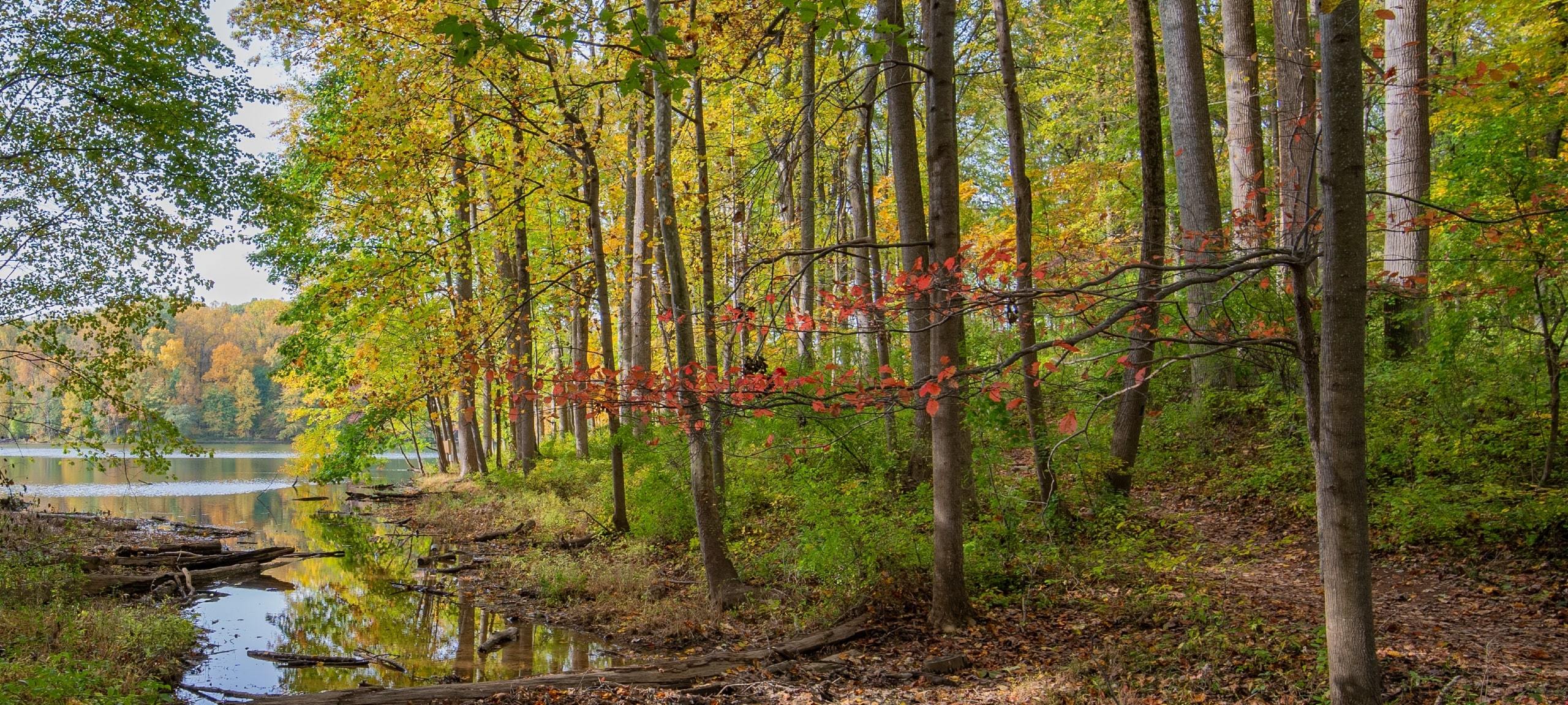 Autumn at Seneca Creek State Park near Montgomery Village, MD