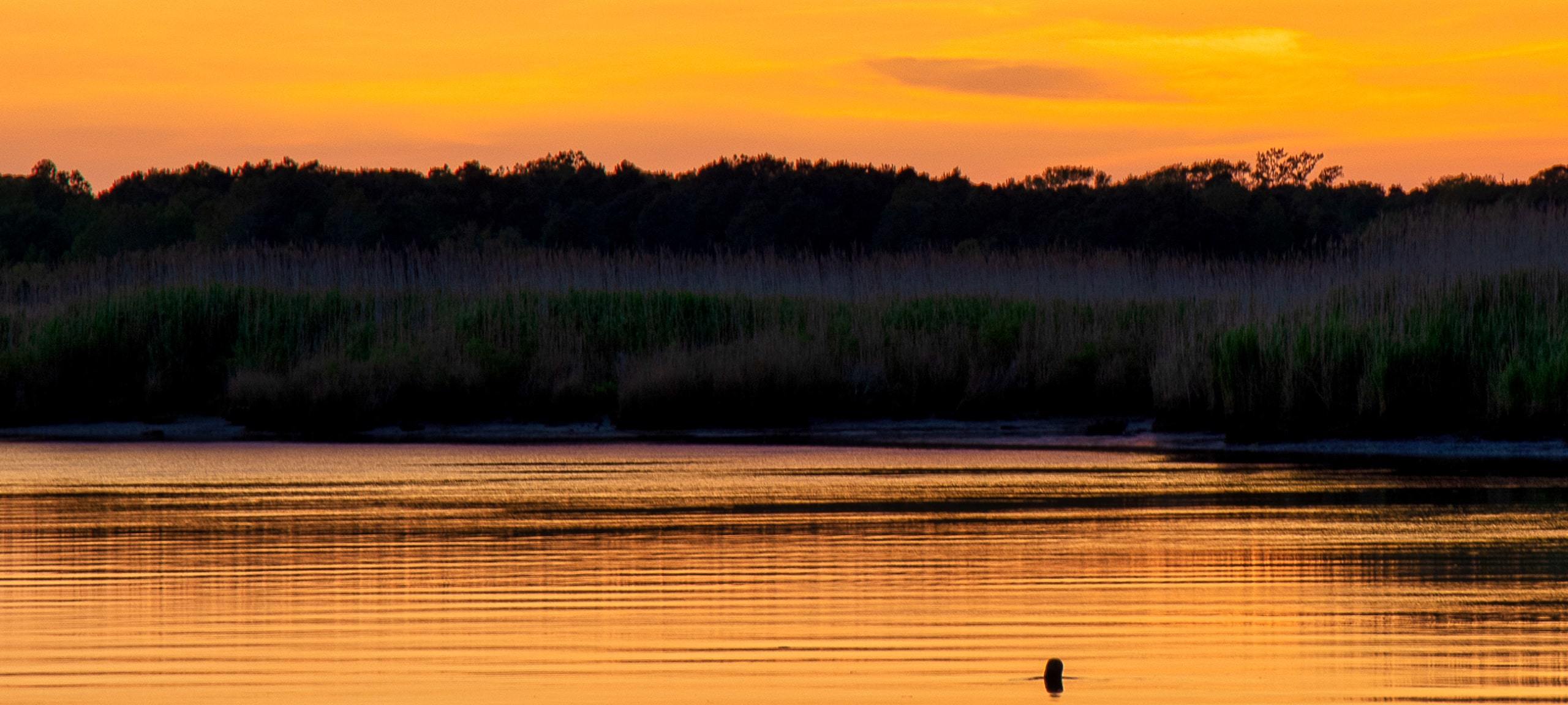 Snow Hill Real Estate For Sale I Real Estate in Worcester County, MD Northrop Realty