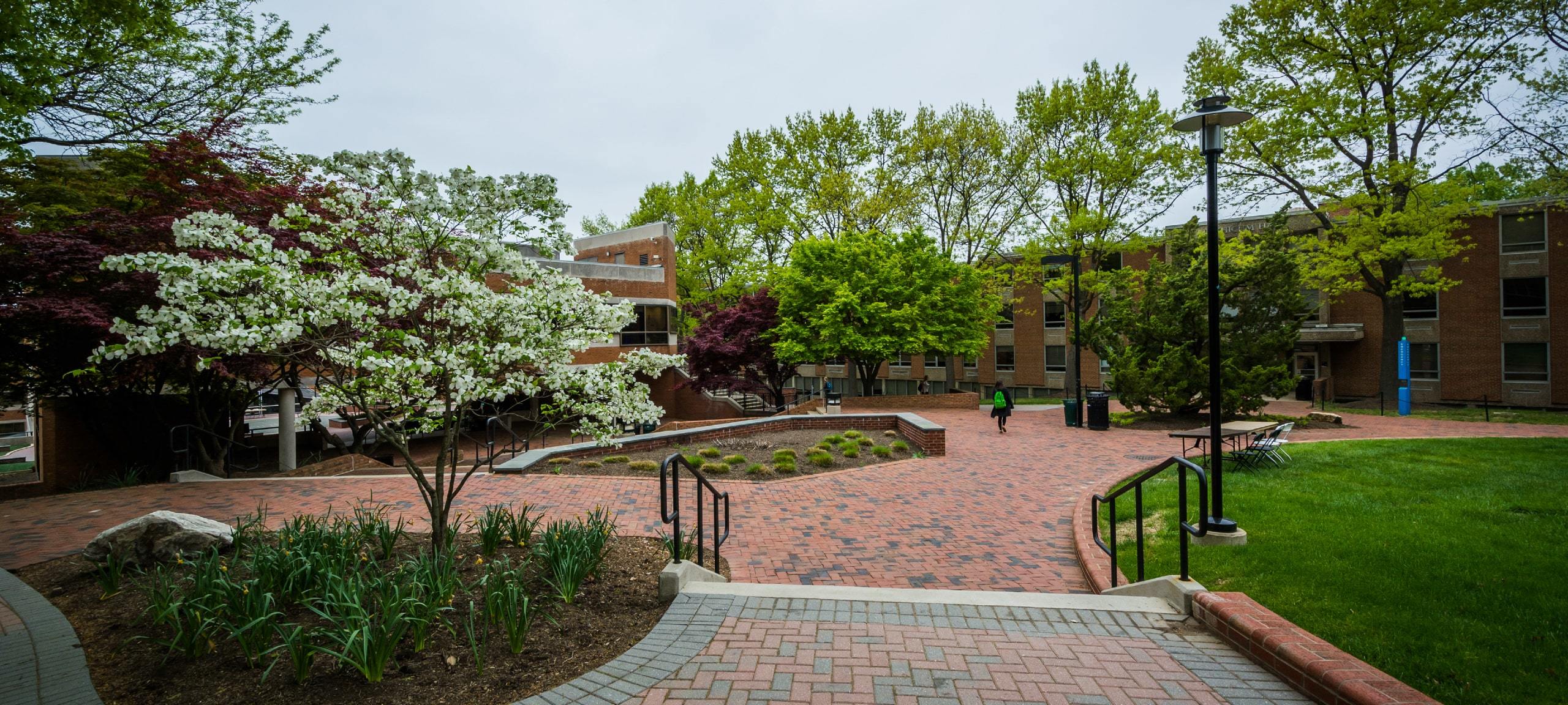 Towson University campus in Towson, Maryland
